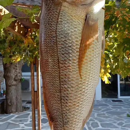 Gikas Triple Sea View B6 Apartment *